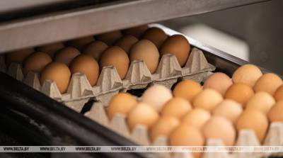 Экспорт белорусской сельхозпродукции в январе-мае вырос на 11,3% - belta.by - Россия - Китай - Белоруссия - Минск