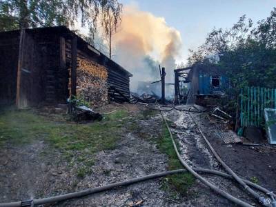 На Южном Урале на пожаре погиб пенсионер - u24.ru - Россия - Челябинская обл.