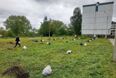 Более 5 тысяч деревьев высадили в Псковской области в рамках акции «Сад памяти» - mk-pskov.ru - Россия - Псковская обл. - Псков - Экология