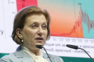 Анна Попова - Анна Попова не увидела оснований для введения локдауна в России - govoritmoskva.ru - Москва - Россия - окр.Сзфо