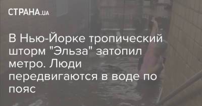 В Нью-Йорке тропический шторм "Эльза" затопил метро. Люди передвигаются в воде по пояс - strana.ua - США - Украина - New York - шт. Южная Каролина - Нью-Йорк - шт.Флорида - Нью-Йорк - шт. Джорджия - New York