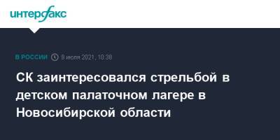 СК заинтересовался стрельбой в детском палаточном лагере в Новосибирской области - interfax.ru - Москва - Россия - Новосибирская обл.