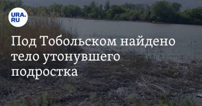 Под Тобольском найдено тело утонувшего подростка - ura.news - Россия - Тюменская обл. - Тобольск