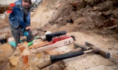 В Нижнем Тагиле на месте захоронения Демидовых нашли человеческую руку - fedpress.ru - Свердловская обл.