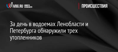 За день в водоемах Ленобласти и Петербурга обнаружили трех утопленников - ivbg.ru - Украина - Ленинградская обл. - Петербурга - Петербург