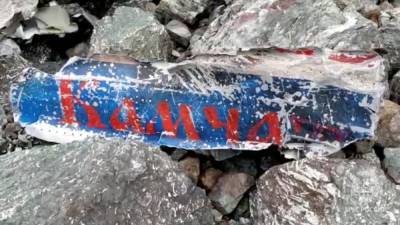 На Камчатке нашли бортовые самописцы разбившегося Ан-26 - svoboda.org - Петропавловск-Камчатский