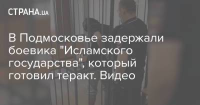 Ольга Врадий - В Подмосковье задержали боевика "Исламского государства", который готовил теракт. Видео - strana.ua - Россия - Украина - Московская обл.