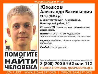 Элизабет Алерт - В Приозерском районе без вести пропал 21-летний парень - ivbg.ru - Украина - Петербург - Ленобласть
