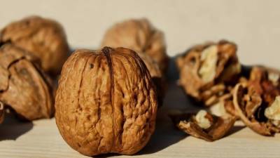 Российские ученые вывели два новых сорта грецкого ореха - piter.tv - Самара