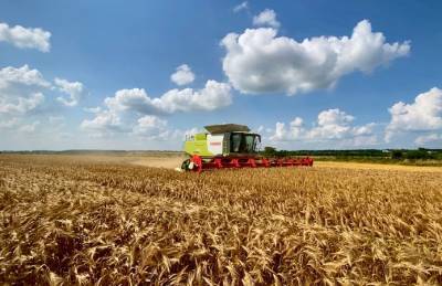 Во время первой волны жатвы Континентал соберет урожай почти с 90 тыс. га - agroportal.ua - Украина