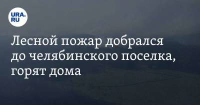 Алексей Текслер - Лесной пожар добрался до челябинского поселка, горят дома - ura.news - Челябинская обл.