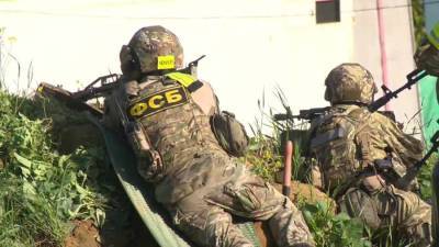 Ольга Врадий - Силовики задержали боевика ИГ*, который готовил теракт в Московской области - news-front.info - Россия - Московская обл.