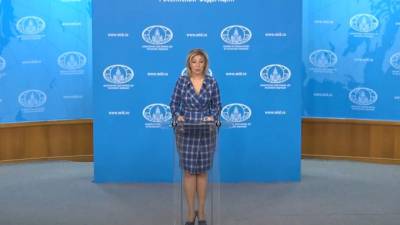 Мария Захарова - Захарова назвала обвинения в адрес Белоруссии в миграционном кризисе "смешными и нелепыми" - piter.tv - Россия - Белоруссия - Литва - Минск