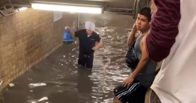В затопленном метро Нью-Йорка пассажиры вплавь выбирались из подземки (видео) - focus.ua - США - Украина - New York - шт. Южная Каролина - Нью-Йорк - шт.Флорида - Нью-Йорк - шт. Джорджия