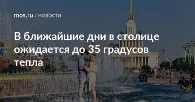 В ближайшие дни в столице ожидается до 35 градусов тепла - mos.ru - Москва