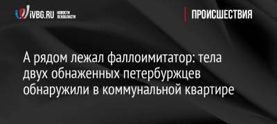 А рядом лежал фаллоимитатор: тела двух обнаженных петербуржцев обнаружили в коммунальной квартире - ivbg.ru - Россия - Украина - Санкт-Петербург - район Петроградский, Санкт-Петербург