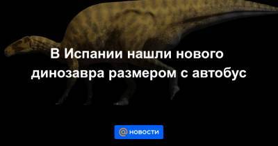 В Испании нашли нового динозавра размером с автобус - news.mail.ru - Испания
