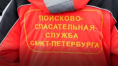 С начала купального сезона в Петербурге утонул 21 человек - piter.tv - Санкт-Петербург