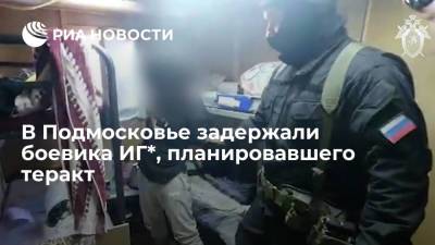 Ольга Врадий - В Подмосковье задержали боевика "Исламского государства"* за подготовку теракта - ria.ru - Москва - Россия - Московская обл.
