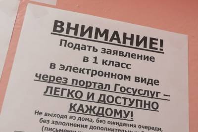 Алексей Дюмин - В Тульской области стартовал второй этап записи в первый класс - tula.mk.ru - Тула - Тульская обл.