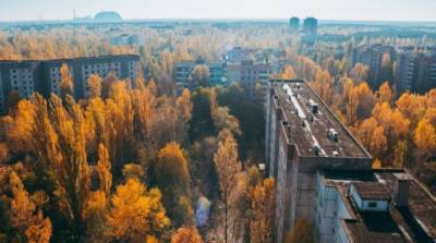 Чернобыль: Как ядерная катастрофа стала случайным экологическим успехом? - enovosty.com - Украина - Экология
