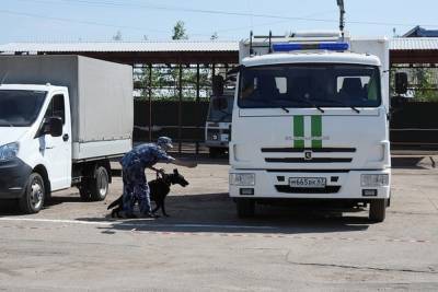 Оксана Иванова - Овчарка Пума и кинолог Оксана победили в соревнованиях УФСИН на Смоленщине - mk-smolensk.ru - Россия - Смоленская обл.