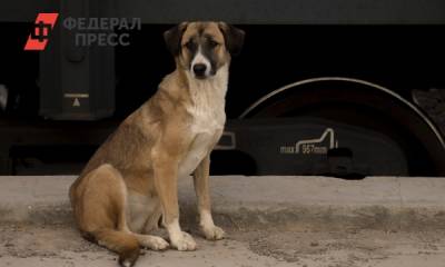 РЖД заплатит 100 тысяч рублей за утечку аммиака на тюменской Войновке - fedpress.ru - Тюмень - Тюменская обл.