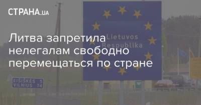 Литва запретила нелегалам свободно перемещаться по стране - strana.ua - Украина - Белоруссия - Литва