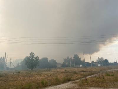 Наталья Мамаева - В Челябинской области возбудили уголовные дела по пожарам. Прокурор работает на месте ЧП - znak.com - Россия - Челябинская обл.