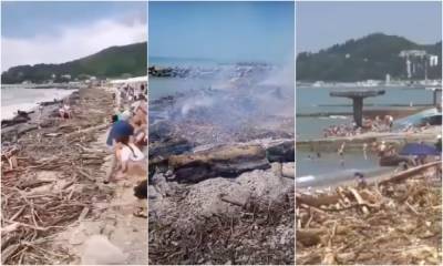 «Овощи среди валежника». Отдыхающие среди мусора россияне шокировали интернет - gubdaily.ru - Анапа - Сочи
