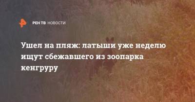 Ушел на пляж: латыши уже неделю ищут сбежавшего из зоопарка кенгруру - ren.tv - Австралия - Латвия