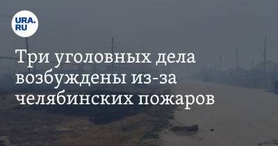 Три уголовных дела возбуждены из-за челябинских пожаров - ura.news - Россия - Челябинская обл.
