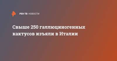 Свыше 250 галлюциногенных кактусов изъяли в Италии - ren.tv - Италия - Мексика