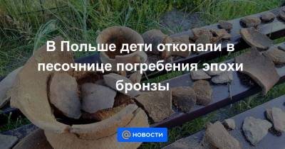 В Польше дети откопали в песочнице погребения эпохи бронзы - news.mail.ru - Польша