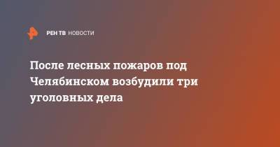 После лесных пожаров под Челябинском возбудили три уголовных дела - ren.tv - Россия - Челябинская обл. - Челябинск