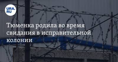 Тюменка родила во время свидания в исправительной колонии - ura.news - Тюмень - Тюменская обл.