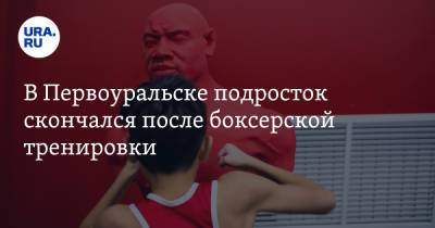 В Первоуральске подросток скончался после боксерской тренировки - ura.news - Россия - Свердловская обл. - Первоуральск