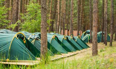 В Новосибирской области юнармейцы устроили стрельбу в детском лагере - og.ru - Новосибирская обл.
