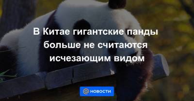 В Китае гигантские панды больше не считаются исчезающим видом - news.mail.ru - Китай - Экология