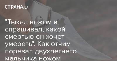 Алексей Власов - "Тыкал ножом и спрашивал, какой смертью он хочет умереть". Как отчим порезал двухлетнего мальчика ножом - strana.ua - Украина - Кривой Рог - Днепропетровская обл. - Днепропетровск
