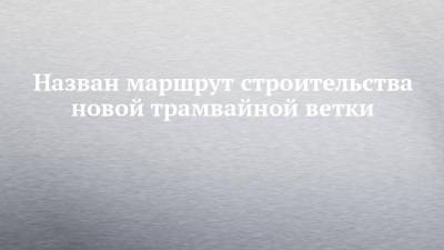 Наиль Магдеев - Назван маршрут строительства новой трамвайной ветки - chelny-izvest.ru - Набережные Челны