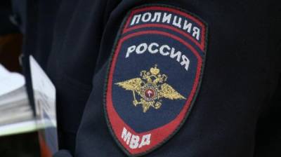 В Заречном осудили горожанина, встретившего полицию с битой - penzainform.ru