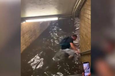 Люди выплывают из подземки: в Нью-Йорке затопило метро - rupor.info - New York - шт. Южная Каролина - Нью-Йорк - Куба - шт.Флорида - Нью-Йорк - шт. Джорджия