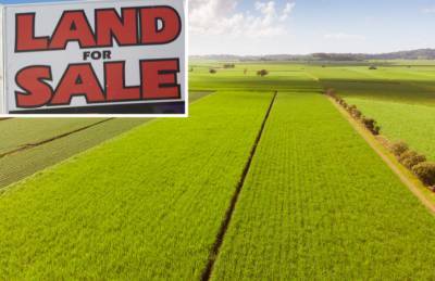 Нотариусам советуют откладывать сделки купли-продажи земли - agroportal.ua - Украина