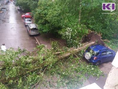 В центре Сыктывкара во время ливня с ветром упал тополь и затопило центральные улицы - komiinform.ru - респ. Коми - Сыктывкар