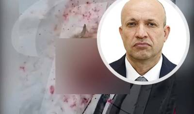 Курганского депутата заподозрили в живодерстве - newizv.ru - Россия - Экология