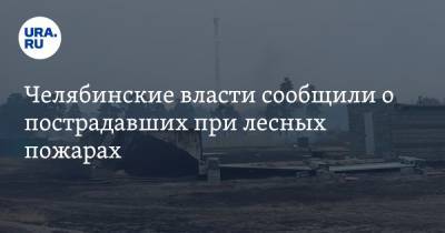 Челябинские власти сообщили о пострадавших при лесных пожарах. Видео - ura.news - Челябинская обл.