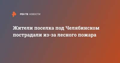 Жители поселка под Челябинском пострадали из-за лесного пожара - ren.tv - Челябинская обл. - Челябинск - район Карталинский