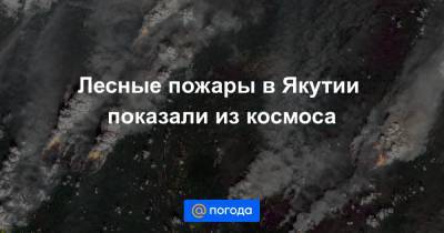 Лесные пожары в Якутии показали из космоса - news.mail.ru - респ. Саха - Якутск