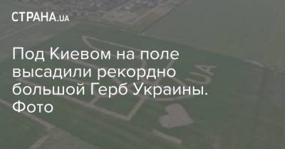 Под Киевом на поле высадили рекордно большой Герб Украины. Фото - strana.ua - Украина - Киев - Борисполь